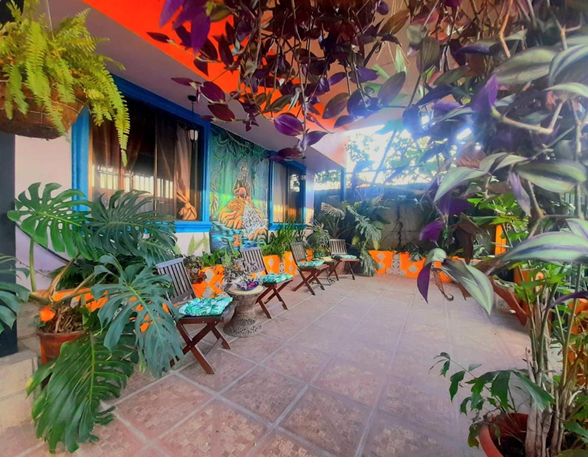 Nirvana Apartament Hostal Río Segundo Екстериор снимка